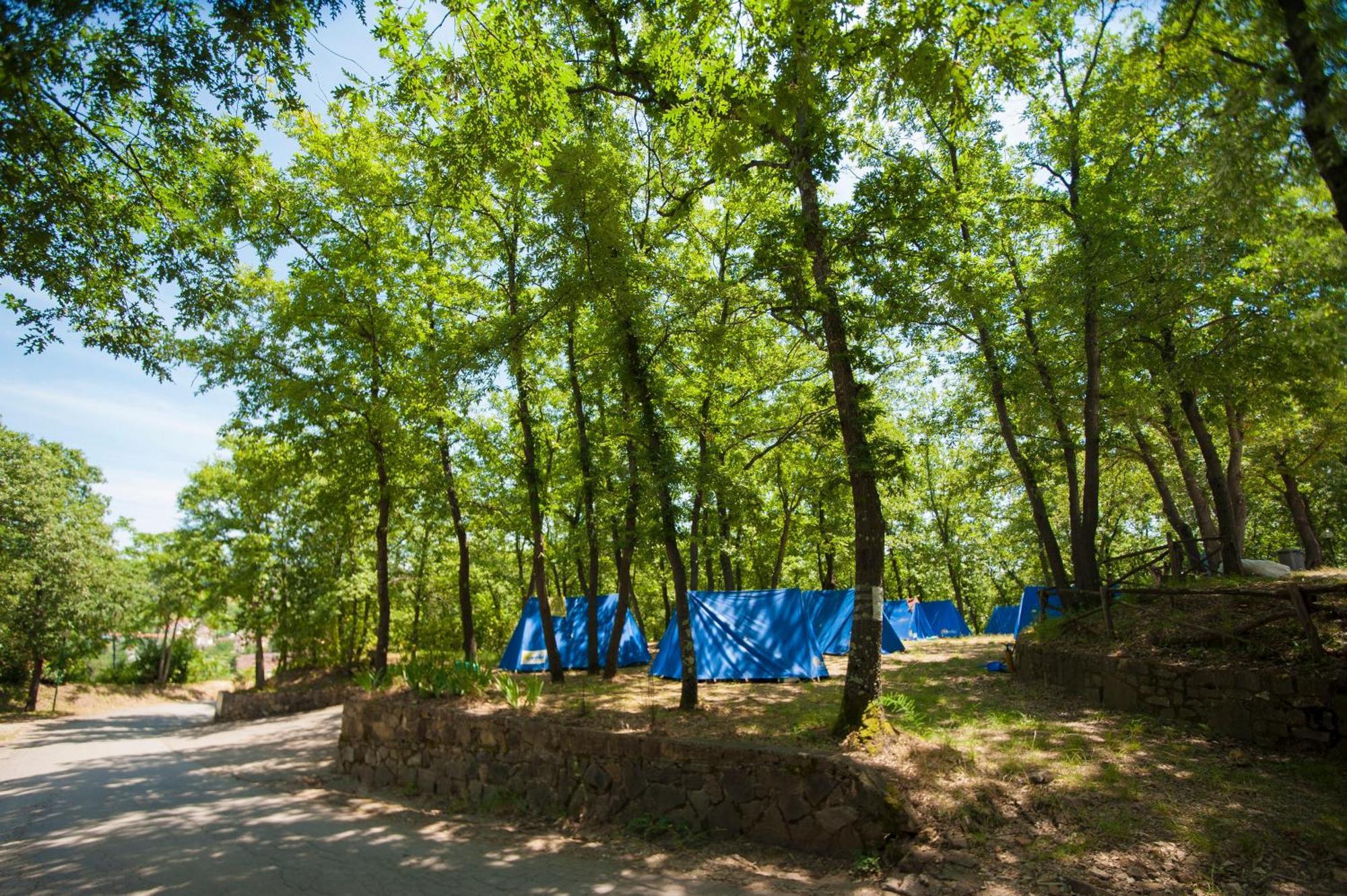 Hu Firenze Certosa Camping In Town Impruneta Ngoại thất bức ảnh